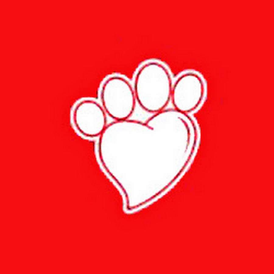 California Pet Pharmacy