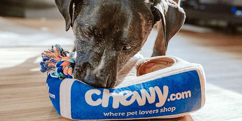 Is Chewy Autoship & Chewy+ Membership Worth It?